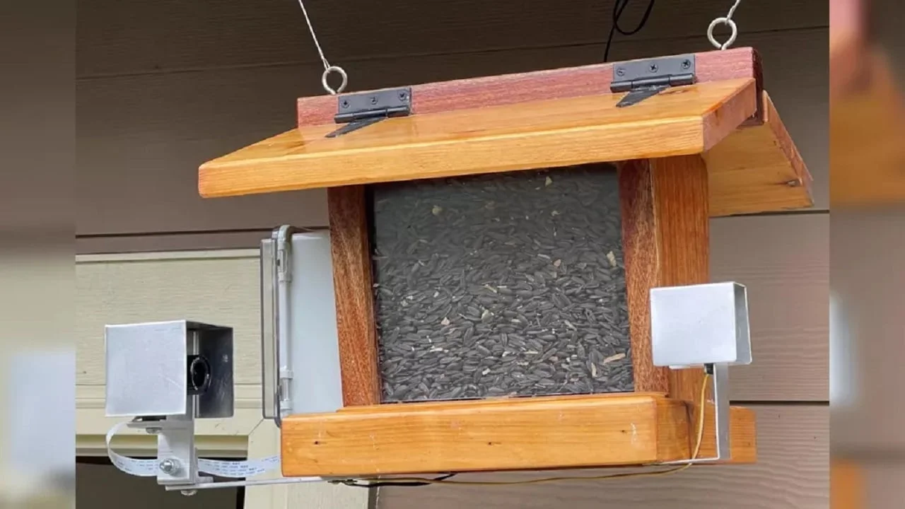 Smart Bird Feeder with Raspberry Pi