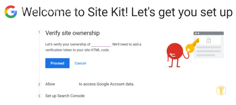 Google Site Kit