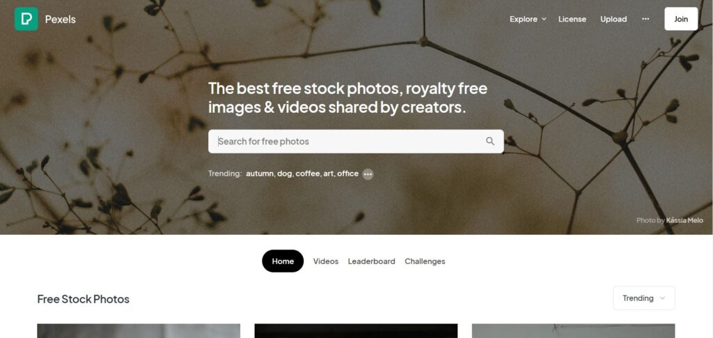 Pexels - The best free stock photos, royalty free images & videos shared by creators
