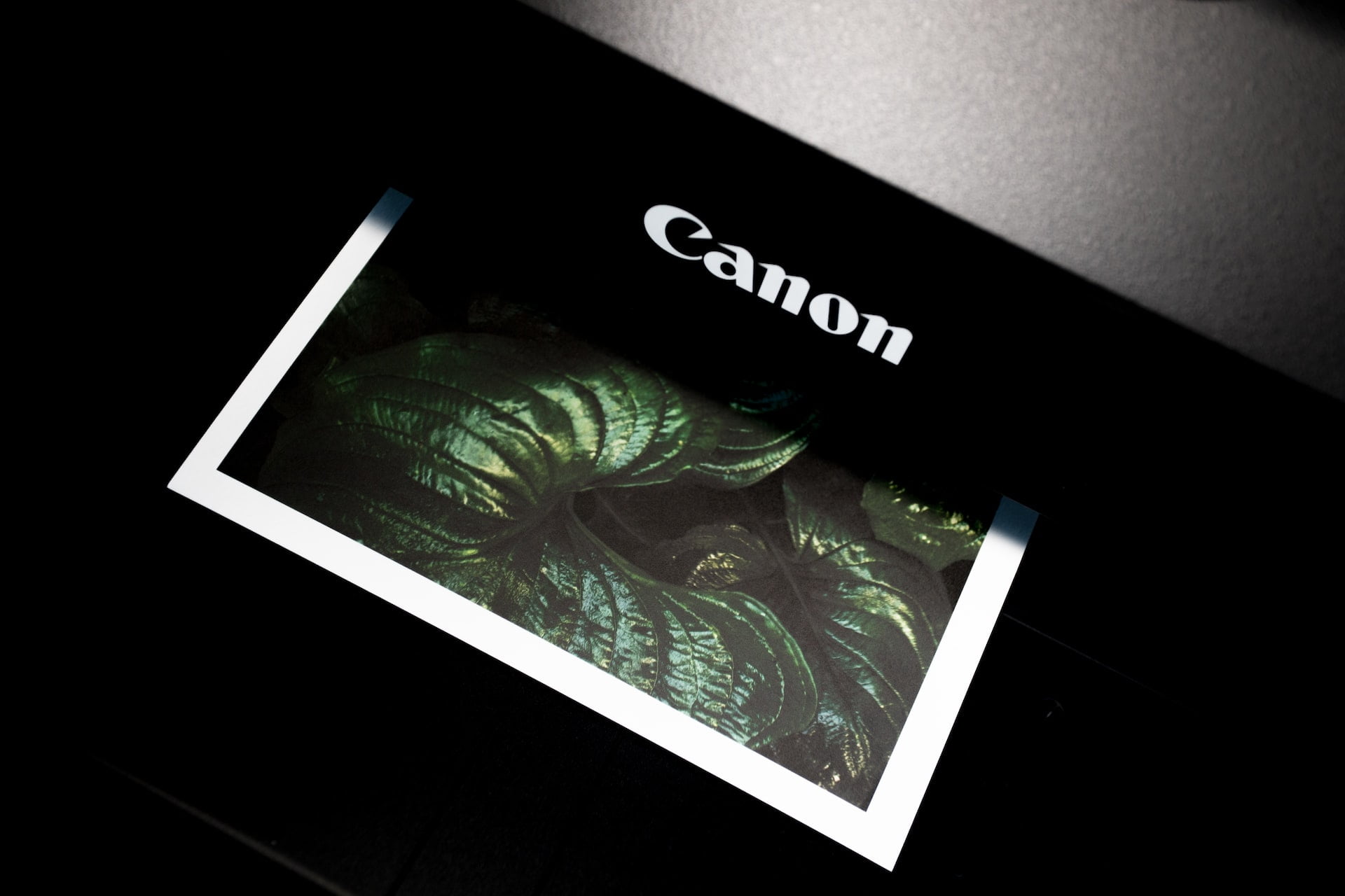 Which Photo printer from the phone are worth buying? We suggest