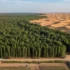 China Planted 66 Billion Trees in the Desert