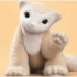 Who Needs a Dog or Cat? Here is the Pet of Our Times