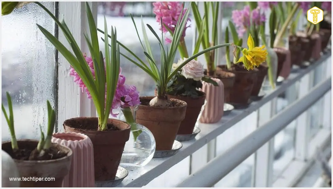 Image showing Plant Sensing Sound Waves