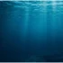 “My God, it’s beautiful.” Scientists Discover New Blue Animal at 1773 Meters