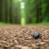 Scientists found a simple way to ticks. Their number decreased by 99 percent