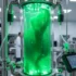Scientists Reveal a Breakthrough Solution to the Problem of Vitamin B12 Deficiency. And Without a Gram of Meat.