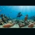 They Were Looking for a Wind Turbine Site, and Found a 2,400-Year-Old Shipwreck Full of Ancient Treasures