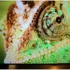 Samsung M86H (Mini LED, 55″) Review: A TV That Doesn’t Pretend to Be a Flagship… And Succeeds