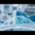 PRIMA Implant: EU Approves Breakthrough Vision Restoration Technology