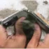 Pixel 11 Pro Fold Cracked in a Brutal Test. But There’s One Piece of Good News.