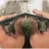 The New Foldable Samsung Reaches Its Limit: Galaxy Z Fold8 Ultra Fails Brutal Durability Test