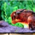 Haier H55S90GUX Review: The TV That Aims to Excel in Everything